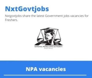 NPA Chief Prosecutor vacancies in Mmabatho 2022 Apply now @npa.gov.za
