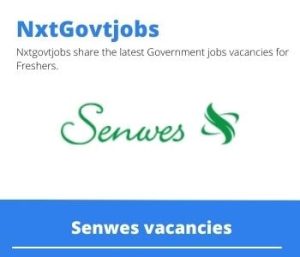 Senwes Forecourt Attendant Vacancies in Klerksdorp 2022