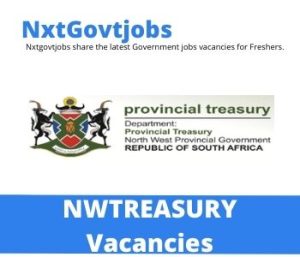 Department of Provincial Treasury Budget and Public Finance Vacancies in Mmabatho 2022