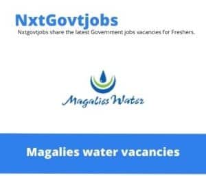 Magalies water Mechanical Sectional Head Vacancies in Rustenburg – Deadline 04 Jul 2023